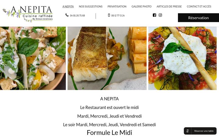 Screenshot of anepita.fr
