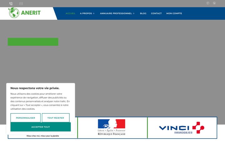 Ekraanipilt saidist anerit.fr