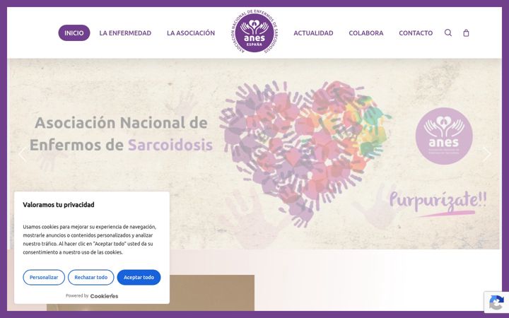 Screenshot of anes.org.es