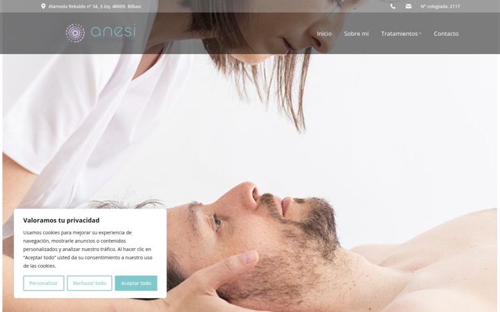 Screenshot of anesifisioterapia.com