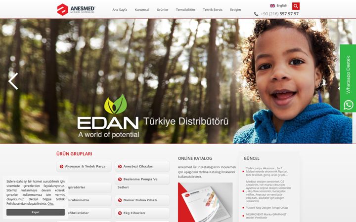 Screenshot of anesmed.com.tr