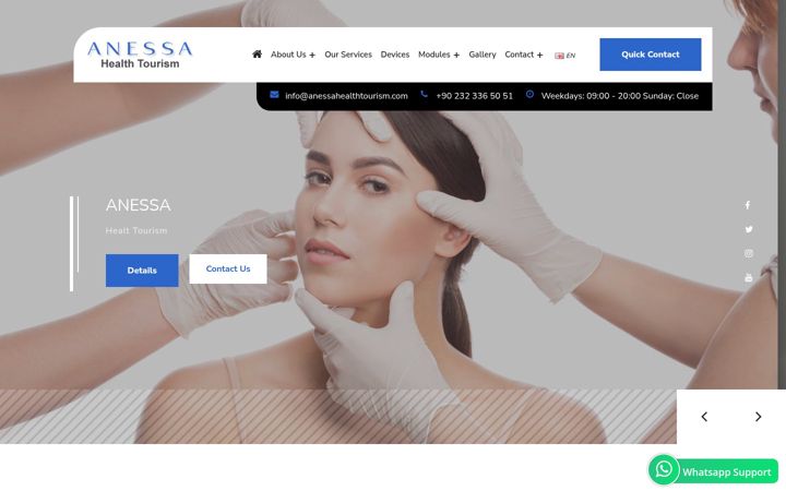 Screenshot of anessahealthtourism.com
