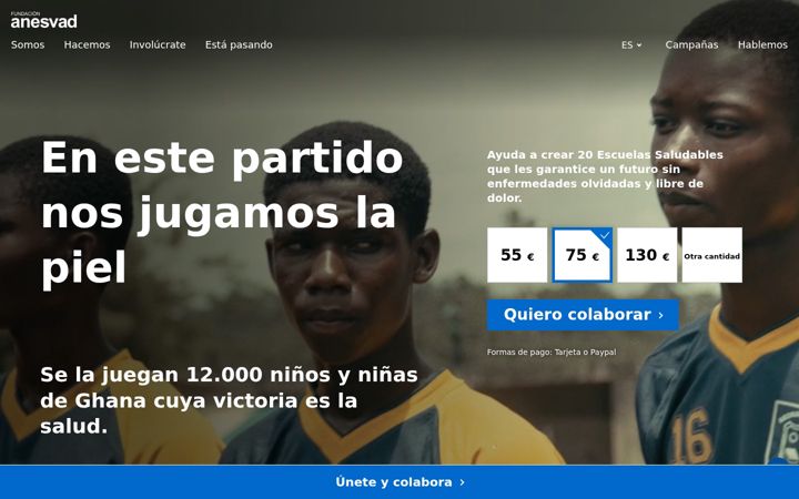 Screenshot of anesvad.org