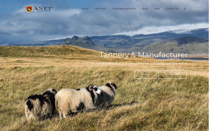 Screenshot of anet-leather.pl