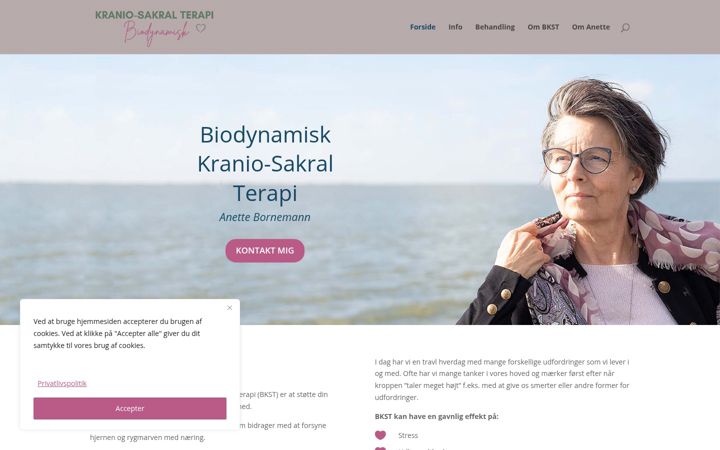 Screenshot of anettebornemann.dk