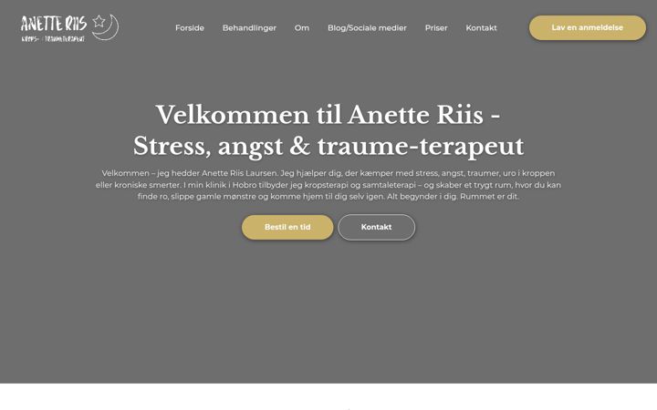 Screenshot of anetteriis.dk