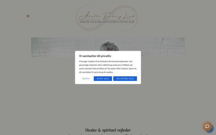 Screenshot of anettetraberglind.com