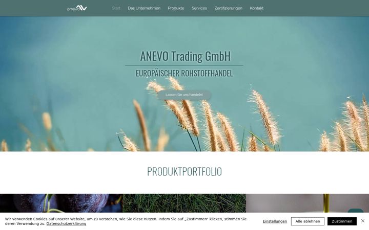 Screenshot of anevo-trading.com