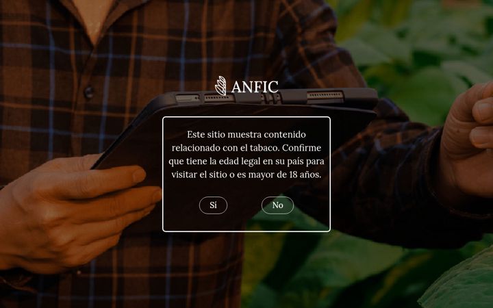 Screenshot of anfic.es