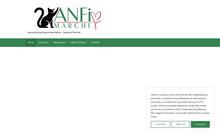 Screenshot of anfimarche.it