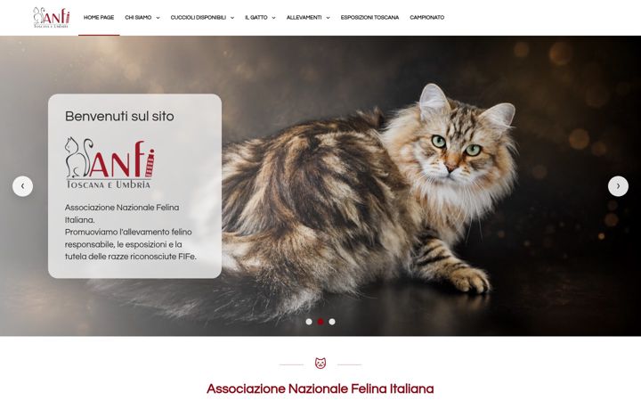 Ekrano kopija anfitoscana.net