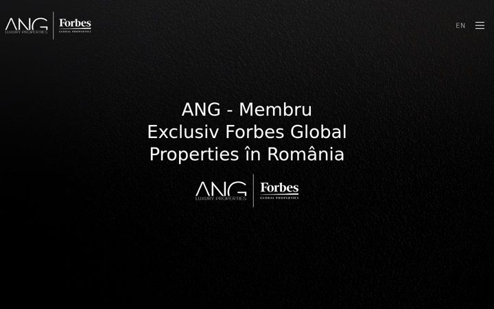 Screenshot of ang-fgp.ro
