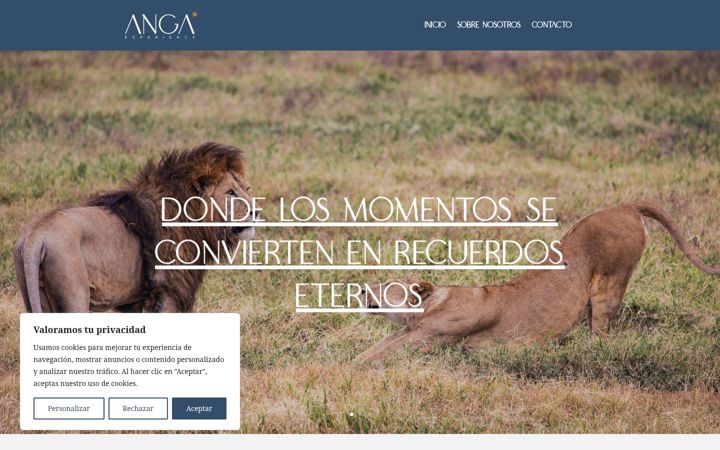 Screenshot of angaexperience.com