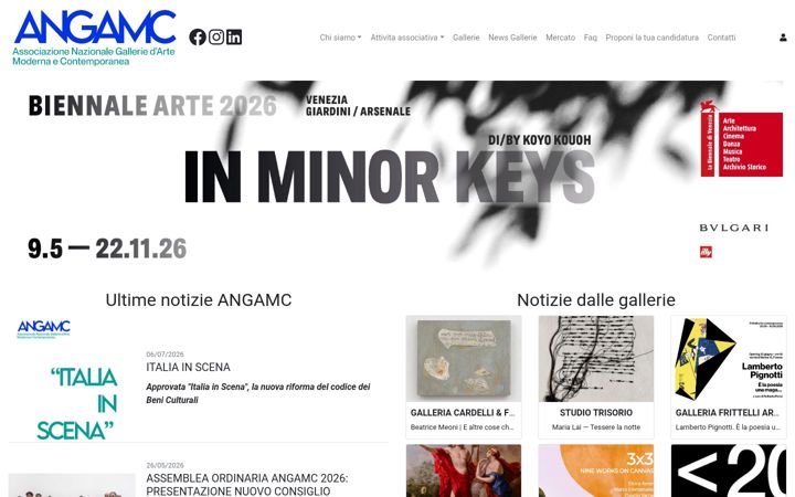 Screenshot of angamc.com