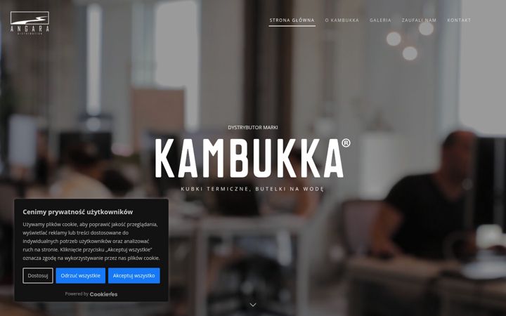 Screenshot of angara.pl