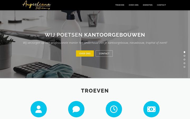 Screenshot of angecleana.be