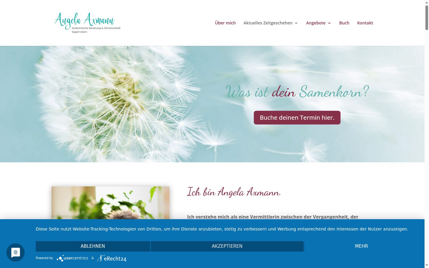 Screenshot of the consent banner shown before any interaction