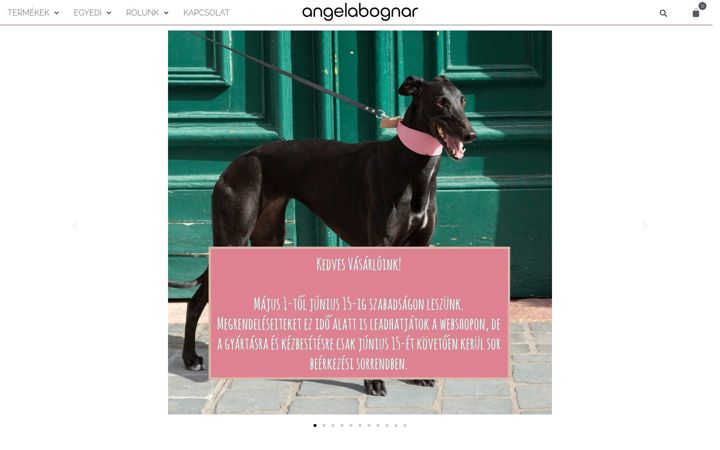 Screenshot of angelabognar.com