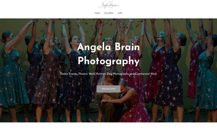 Screenshot of angelabrainphotography.com