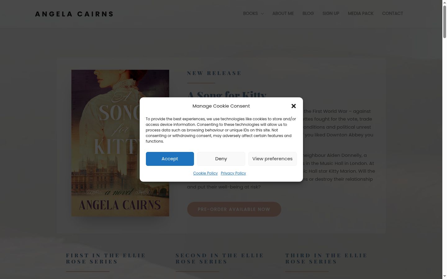 Screenshot of the consent banner shown before any interaction