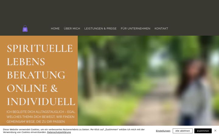 Screenshot of angelamolleker.com