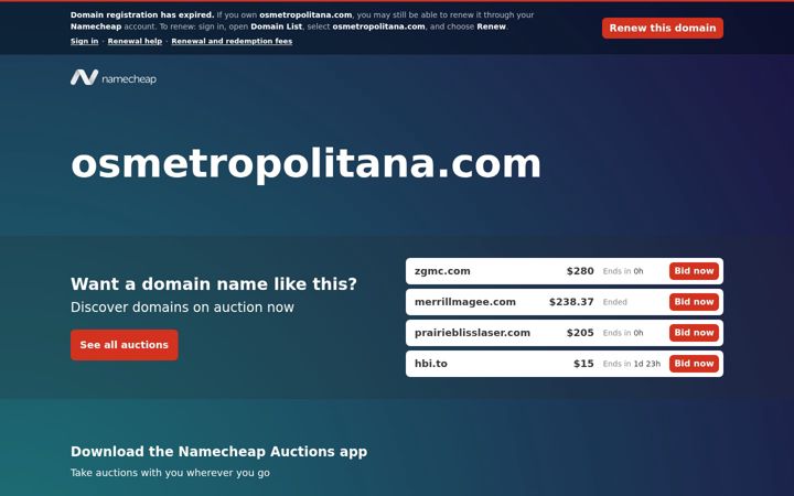 Screenshot of angelcleaningcompany.com