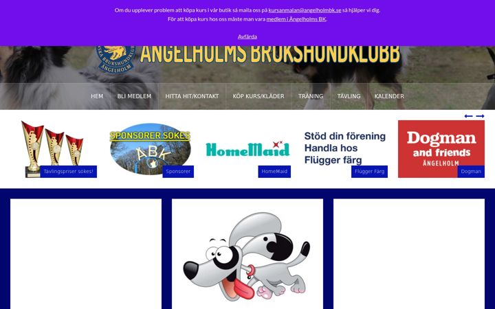 Screenshot of angelholmbk.se