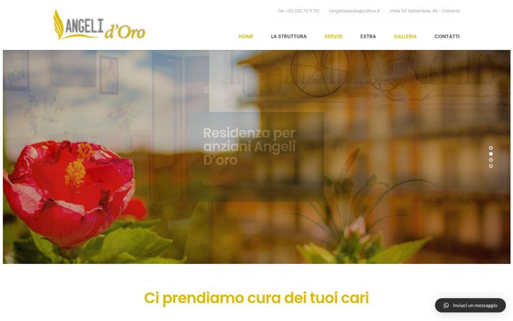 Screenshot of angelidoro.org