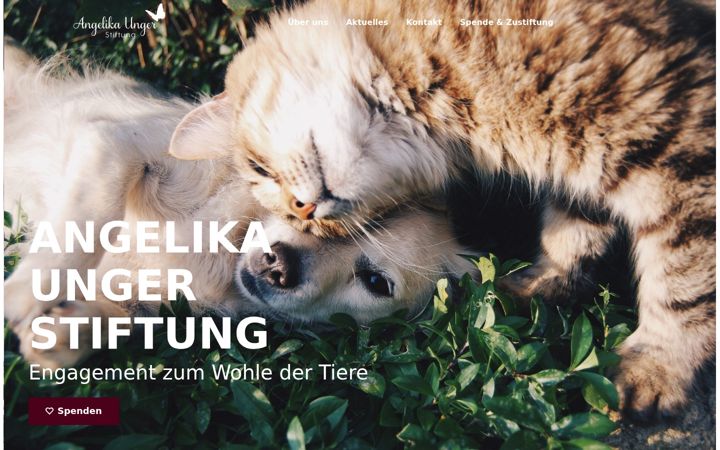 Skärmbild av angelika-unger-stiftung.de