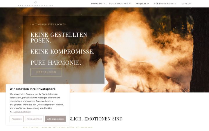 Screenshot of angelinapeekel.de