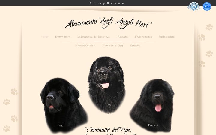 Screenshot of angelineri.it