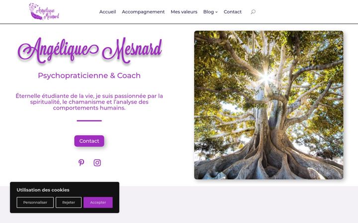 Screenshot of angelique-mesnard.fr