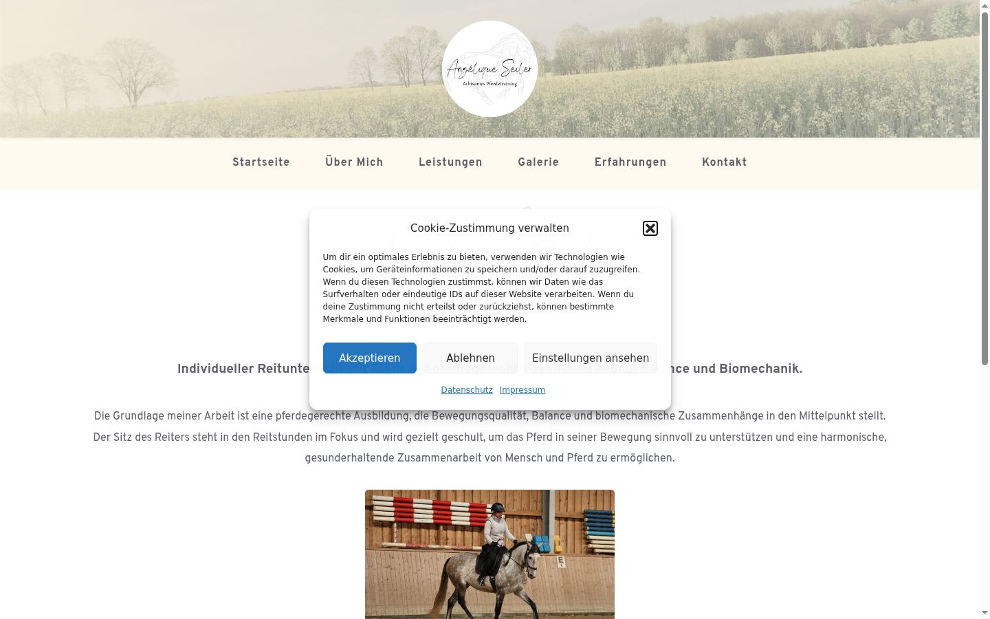 Screenshot des Einwilligungsbanners vor jeglicher Interaktion