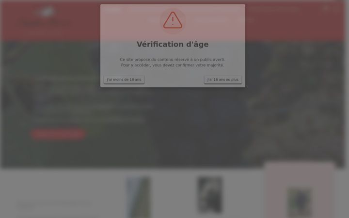 Screenshot of angeliquebrisson.fr
