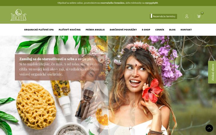 Screenshot of angelis.sk