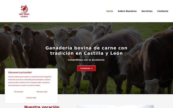 Screenshot of angeljimenez.com.es