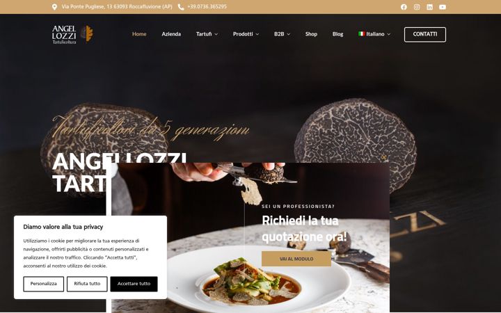 Screenshot of angellozzi.it