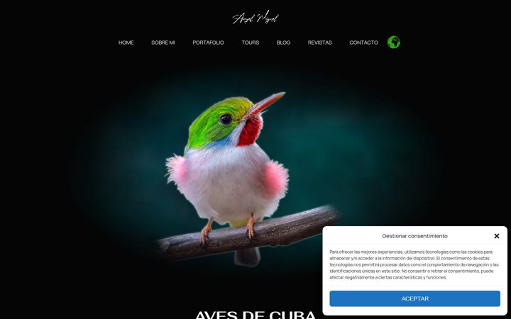 Screenshot of angelmiguel.online