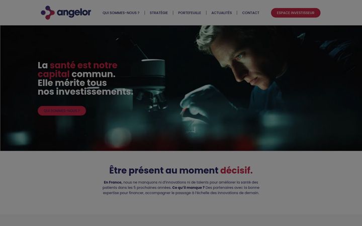 Screenshot of angelor.fr