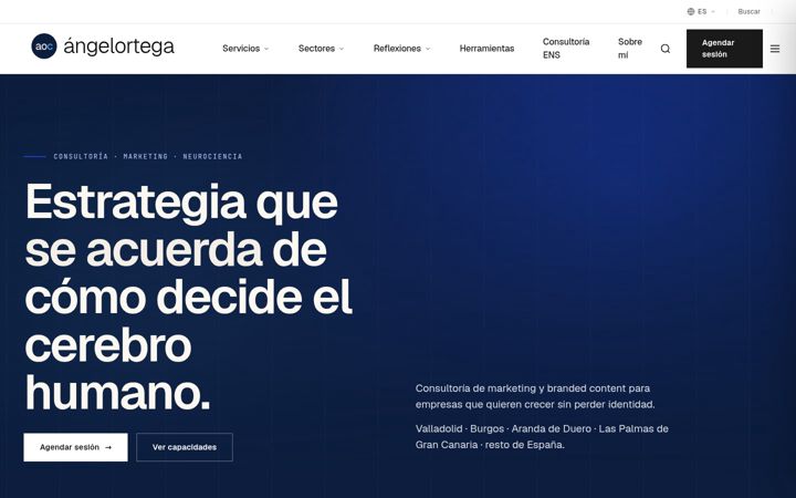 Posnetek zaslona angelortegacastro.com