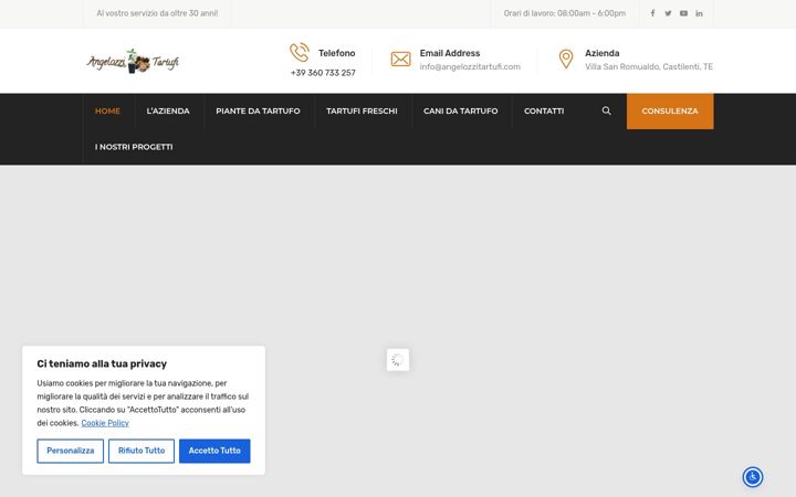 Posnetek zaslona angelozzitartufi.com