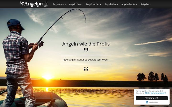 Zrzut ekranu angelprofi.org
