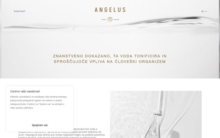 Screenshot of angeluswater.com