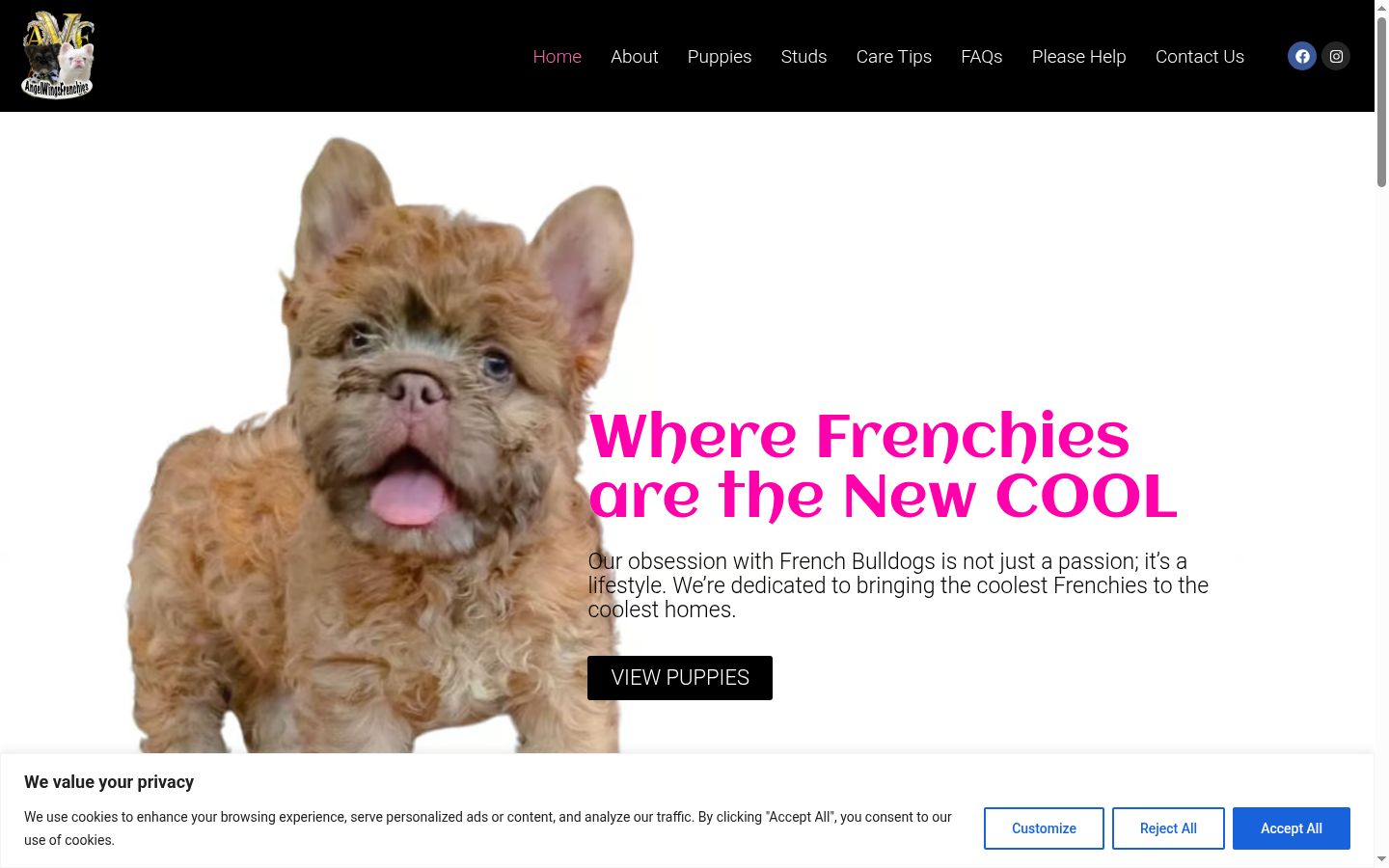 Captura de pantalla del banner de consentimiento mostrado antes de cualquier interacción