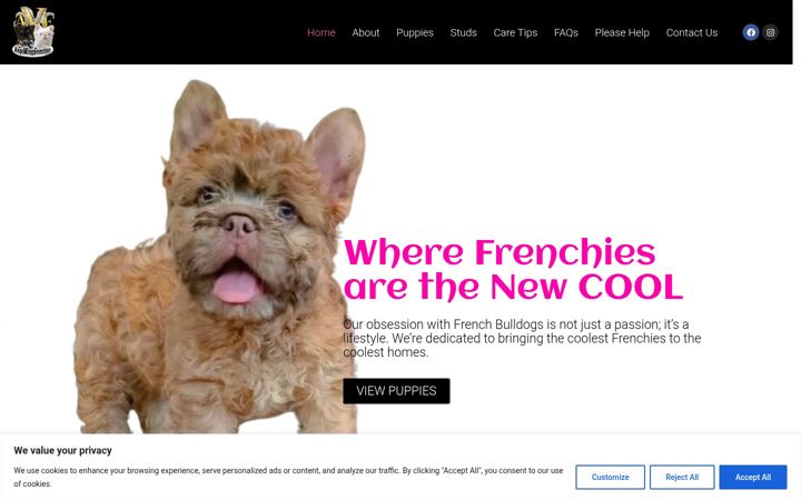 Screenshot of angelwingsfrenchies.com