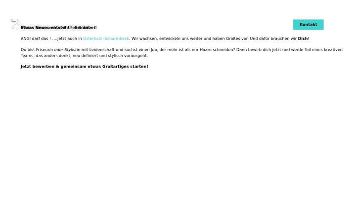 Screenshot of angidarfdas.de