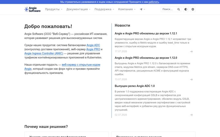 Screenshot of angie.software