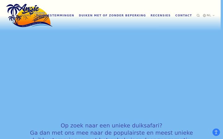 Screenshot of angiediving.com