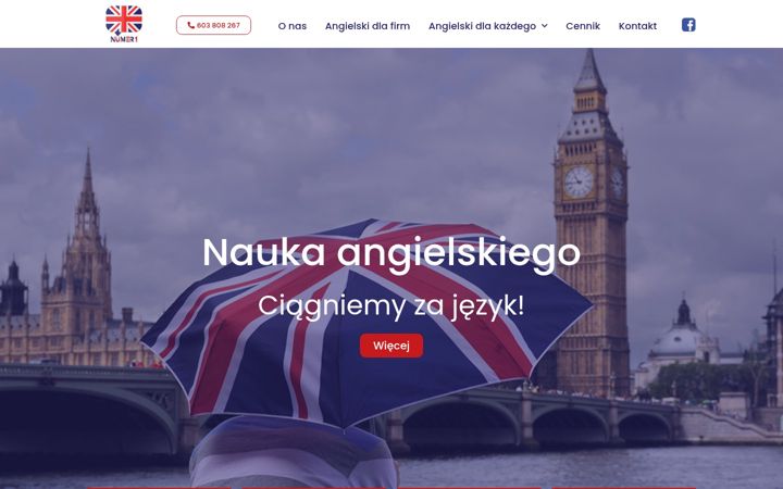 Screenshot of angielski-numer1.com