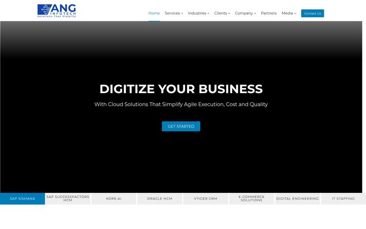 Screenshot of anginfotech.com